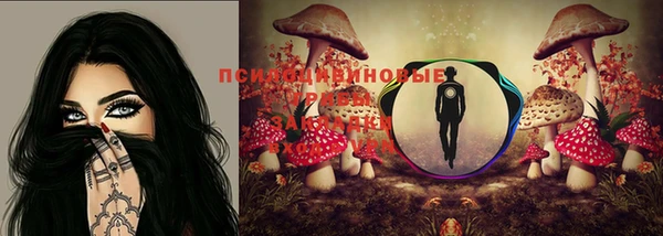 apvp Кинешма