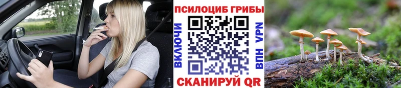 Галлюциногенные грибы Magic Shrooms  Купить  Валдай 